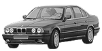 BMW E34 P1553 Fault Code